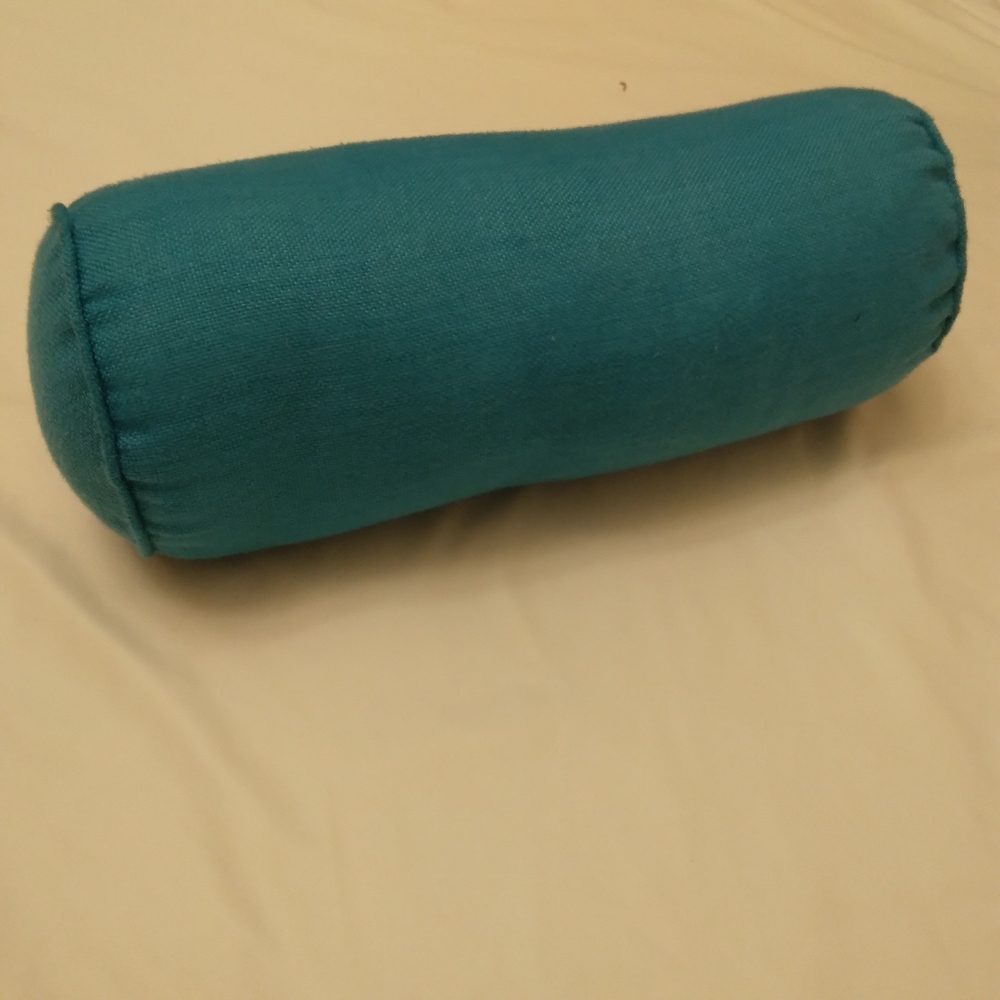 Teal Lumbar and Neck